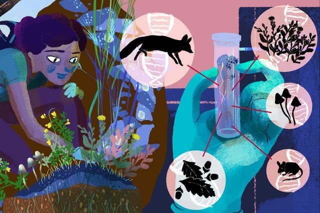 Illustration of a girl collecting specimens: being a citizen scientist 