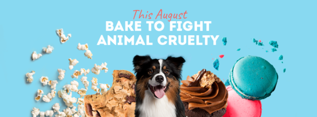 Chaos Theory Games hosts RSPCA Cupcake Day at GamePlus Sydney. Baking to raise money to help rescue, rehabilitate and rehome animals in need in Australia.