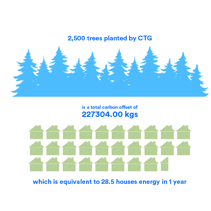 A flat graphic showing how trees offset carbon